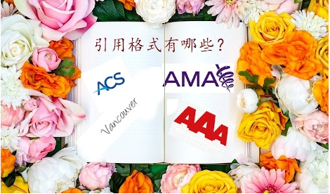论文引用格式